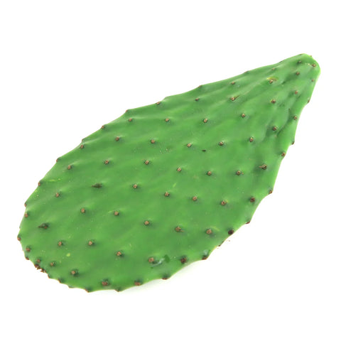 Nopal