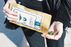 Acheter de la chlorella bio