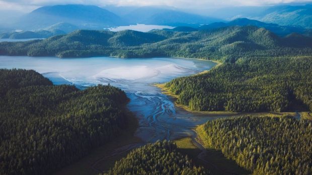 Les bienfaits du klamath