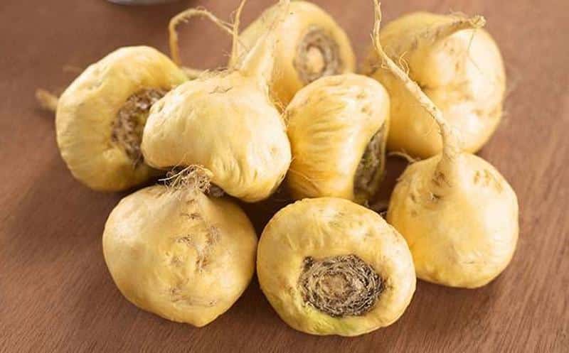 Les bienfaits de la maca