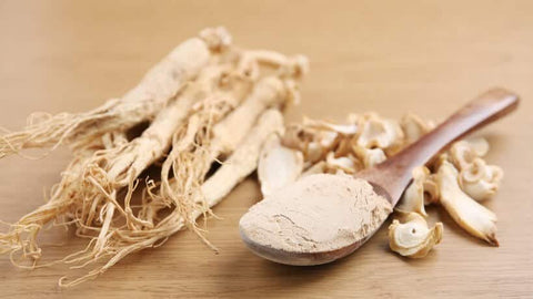 Ginseng