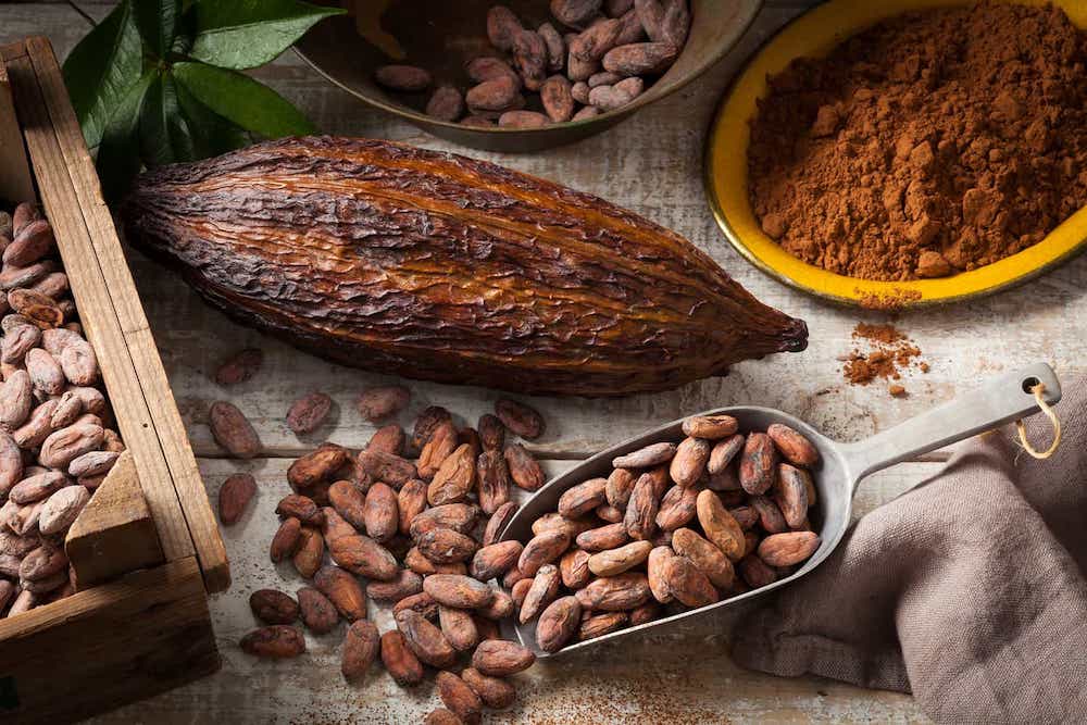 Fève de cacao : Le guide complet