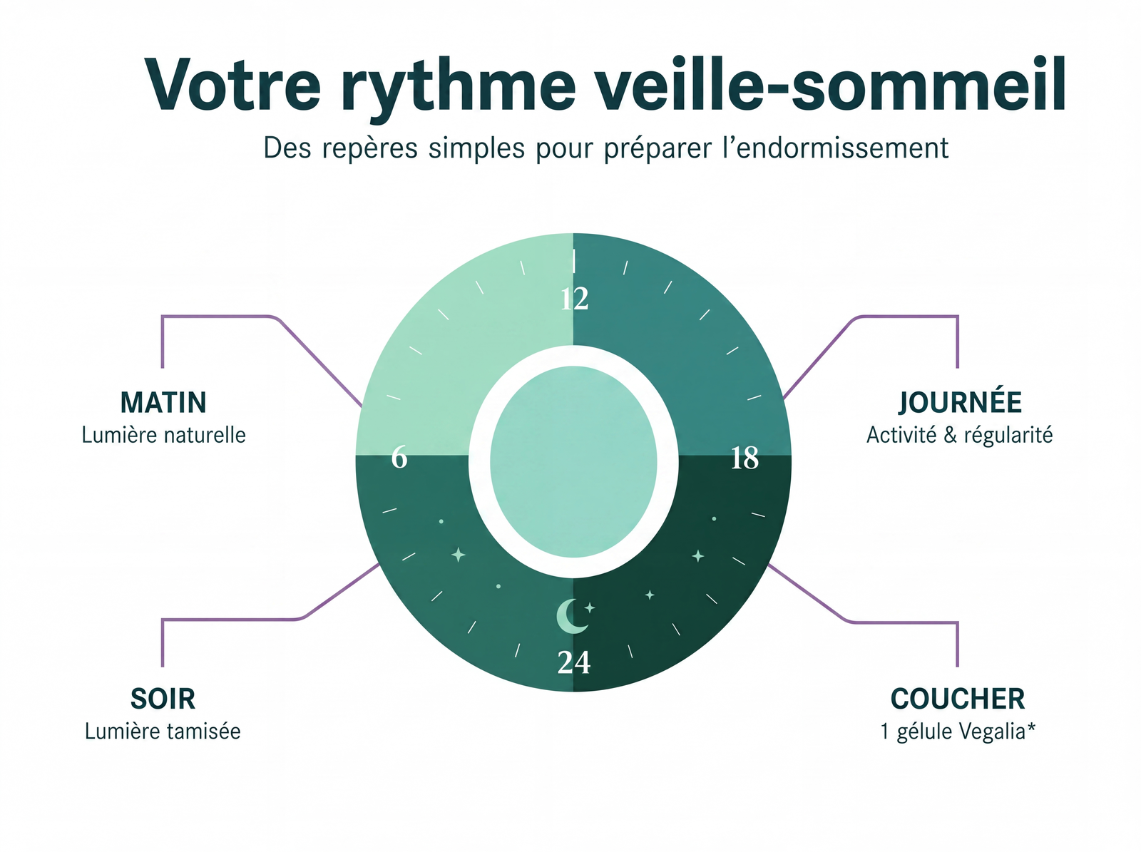 Repères visuels du rythme veille-sommeil, de la lumière naturelle le matin à la prise d’une gélule de mélatonine peu avant le coucher