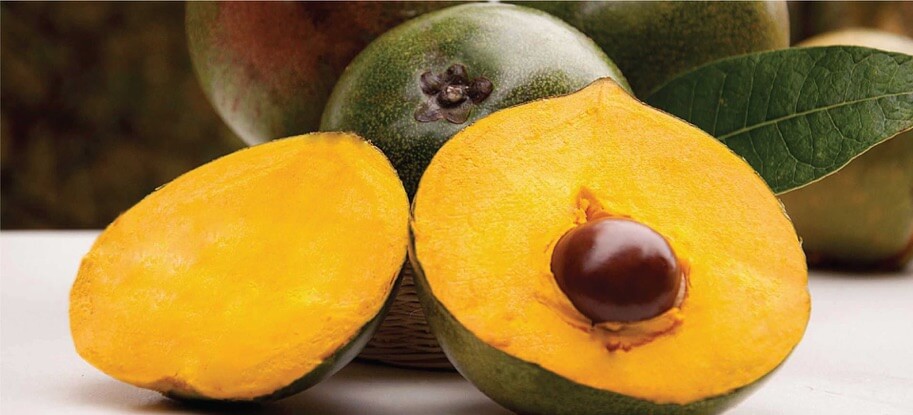 Lucuma : Le Guide complet