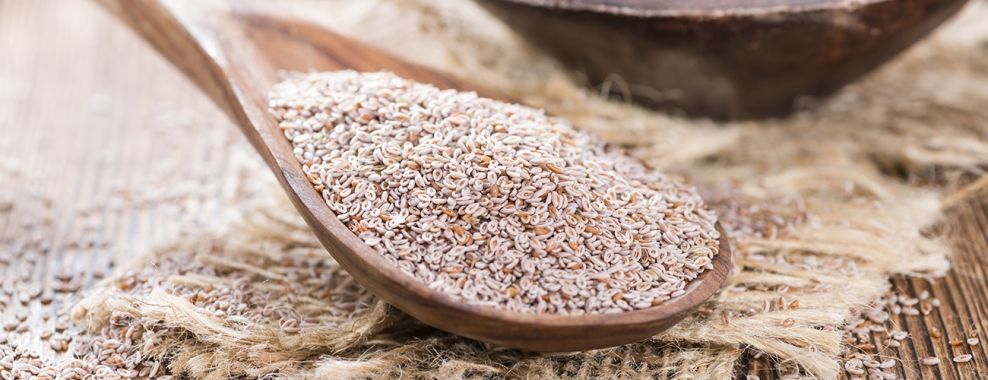 Psyllium : Le guide complet